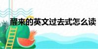 醒來的英文過去式怎么讀(醒來的英文)