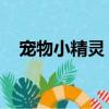 寵物小精靈 游戲（寵物小精靈網頁游戲）