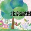 北京編輯招聘 博士（北京編輯招聘）
