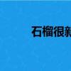 石榴很新鮮毛蛋網（石榴很新鮮）
