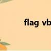 flag vb（vb中flag是什么意思）
