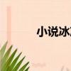 小說冰凍魔法師（冰凍魔法師）