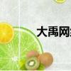 大禹網絡紅人（網絡紅人劉禹）