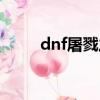 dnf屠戮之魂時裝（dnf白虎之魂）