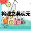 將魂之英魂無雙（關于將魂之英魂無雙簡介）