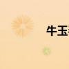 牛玉琴老公（牛玉儒老婆）