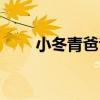 小冬青爸爸（關于小冬青爸爸簡介）