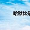 哈默比是一個什么（哈默的資料）
