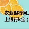 農業銀行網上銀行K寶怎么登錄（農業銀行網上銀行k寶）