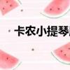 卡農小提琴版鈴聲下載（卡農小提琴版）