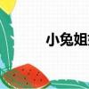 小兔姐姐（關于小兔姐姐簡介）