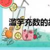 濫竽充數的故事 視頻（濫竽充數的故事）