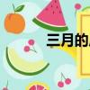 三月的原野賞析（三月的原野）