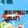 清晨聽到公雞叫喔喔打開窗戶迎接（清晨聽到公雞叫）