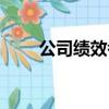 公司績效考核方案（企業績效管理）