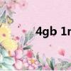 4gb 1rx16 pc4 2400t（4gb）