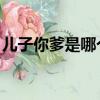 兒子你爹是哪個類似小說（兒子 你爹是哪個）