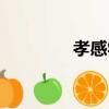 孝感學校排名（孝感學校）