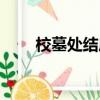 校墓處結局鬼贏了嗎（校墓處結局）