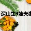 深山生9娃夫妻搬新家（生9娃夫妻已搬新居）