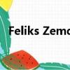Feliks Zemdegs微博（feliks zemdegs）