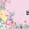 比亞迪F6（bydf6）