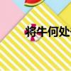 將牛何處去（關于將牛何處去簡介）