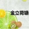 金立荷塘手機測評（金立荷塘手機）