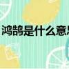 鴻鵠是什么意思,出處哪里（鴻鵠是什么意思）