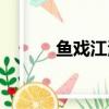 魚戲江湖支線（魚戲江湖攻略）