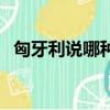 匈牙利說哪種語言（匈牙利人說什么語言）