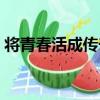 將青春活成傳奇（關于將青春活成傳奇簡介）