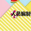 人員編制情況表（公司人員編制表）