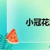 小冠花族（關于小冠花族簡介）
