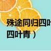 殊途同歸四葉青小說全文免費閱讀（殊途同歸四葉青）