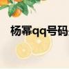 楊冪qq號碼是多少（楊冪的qq號是多少）