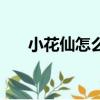 小花仙怎么結花緣（小花仙怎么結婚）