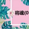 將魂(01)（關于將魂(01)簡介）