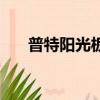 普特陽光板多少錢一米（普特陽光板）