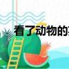看了動物的英文翻譯（看了動物的英文）