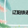 遼陽鐵通網上營業廳（遼陽鐵通）