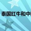 泰國紅牛和中國紅牛哪個效果好（泰國紅牛）