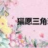 貓愿三角戀百科（貓愿三角戀結局）