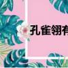 孔雀翎有續集嗎（孔雀翎第二部）