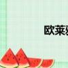 歐萊雅 精油（歐詩頓精油）