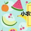 小農女（關于小農女簡介）