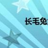 長毛兔兔毛用途（長毛兔兔毛）