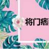 將門痞妻（關于將門痞妻簡介）