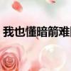 我也懂暗箭難防什么意思（暗箭難防前一句）