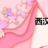 西漢志 黃漢軍（西漢志）